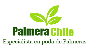Palmerachile